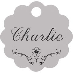 ID-Bricka Moln. ID-tag med hållbar gravyr.